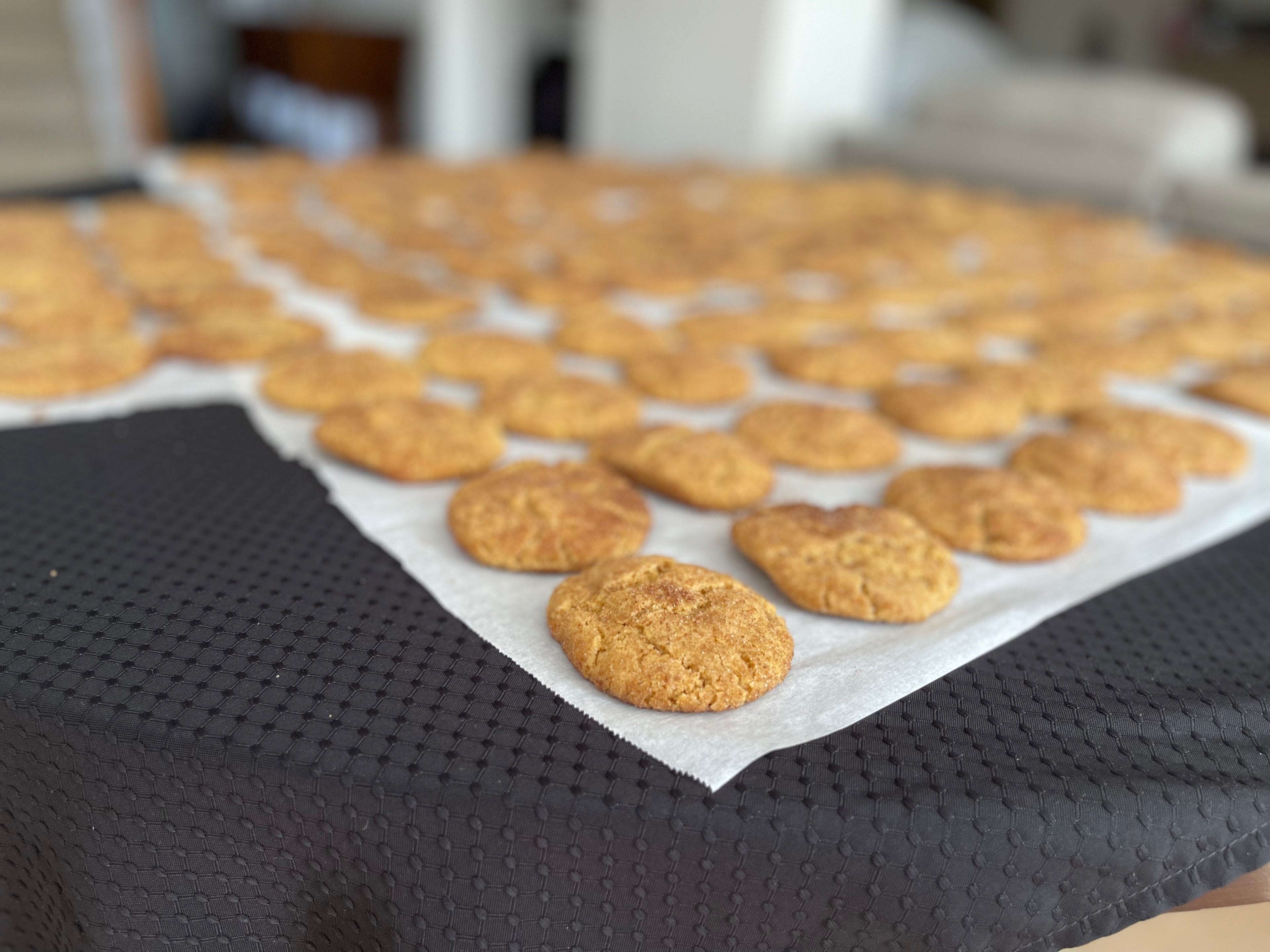 Snickerdoodle (Wholesale)